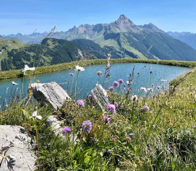 Urlaub im Chalet am Arlberg in Österreich – traumhafte Lage – schöne Wandergebiete und Mountainbike Strecken – Aktivurlaub in den Bergen
