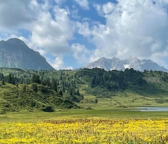 Sommerurlaub in Österreich - Urlaub im Chalet in den Bergen - einzigartige Natur