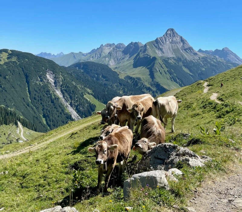 Wanderurlaub in Österreich im Chalet – Aktivurlaub in den Bergen: Wandern, Mountainbiken, Klettern, Schwimmen, Radfahren, Rafting, Cabrio Touren, – einzigartiges Erlebnis in den Bergen