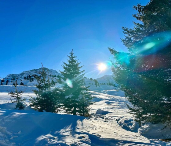 Winterurlaub am Arlberg in Österreich - einzigartig direkt im Skigebiet - Chalets für 2 - 9 Personen - direkt am Skilift