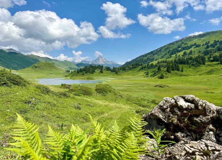 Sommerurlaub am Kalbelesee - Der See liegt neben dem Hochtannbergpass und liegt auf 1.653 m Höhe - Fläche 2,4 ha und 4,5 m Tiefe