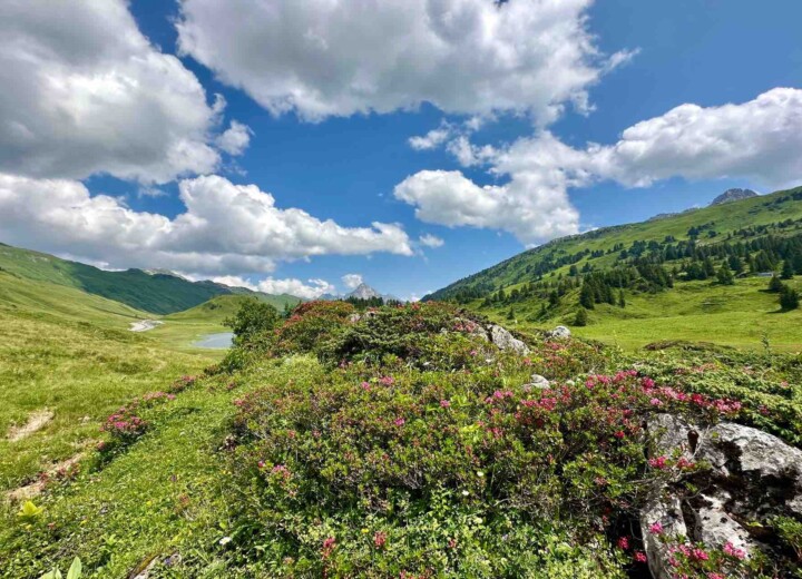 Wanderurlaub am Arlberg – einzigartige Wanderwege im Wandergebiet Arlberg – traumhafte Wanderungen im gesamten Gebiet in Vorarlberg in Österreich